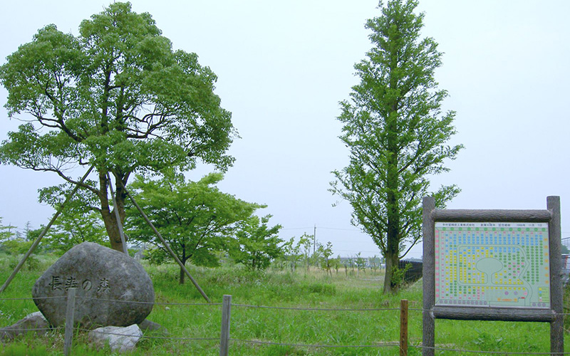 長寿の森