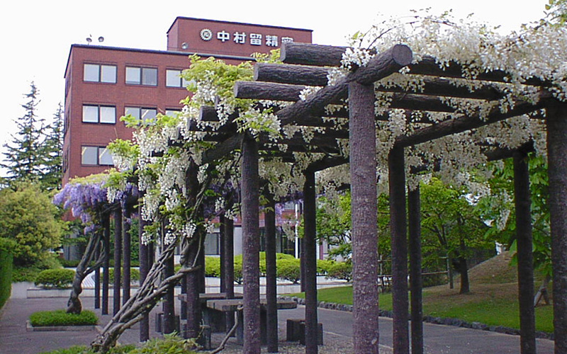 藤棚