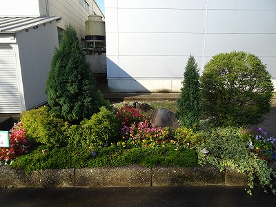 優勝チーム管理本部の花壇