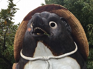 tanuki2