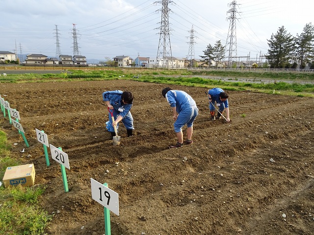 技術本部チーム、まずは土づくりから