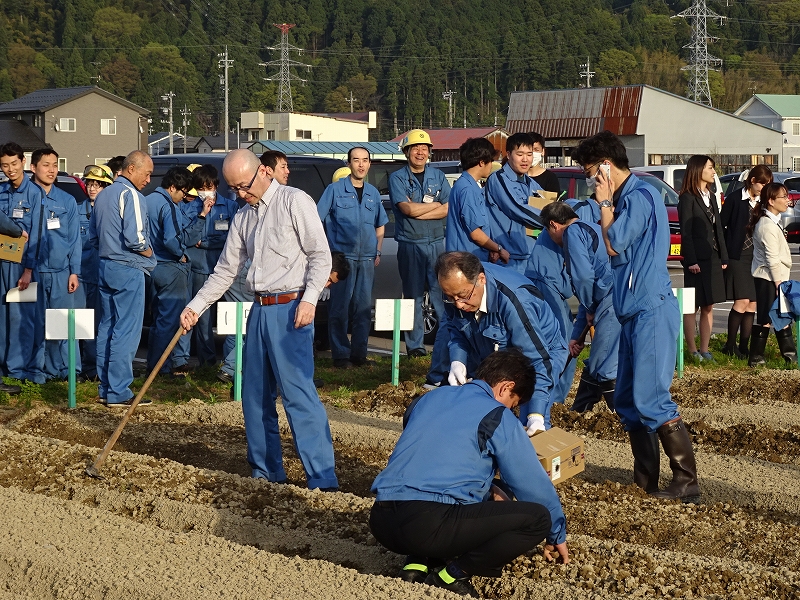 手慣れた様子で、どんどん植えるチームもあります。