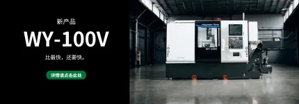 WY-100V